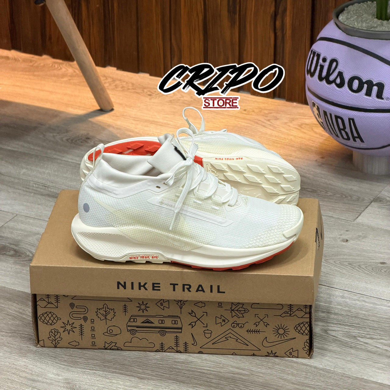PEGASUS TRAIL 5 ®️ Arctic Flame